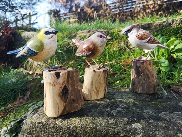 Oiseaux en bois - Decolecedre