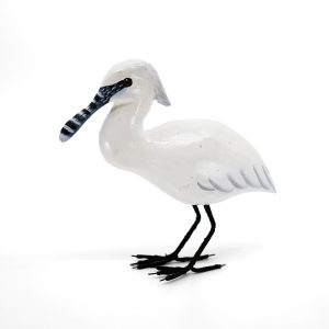 Spatule Blanche oiseau